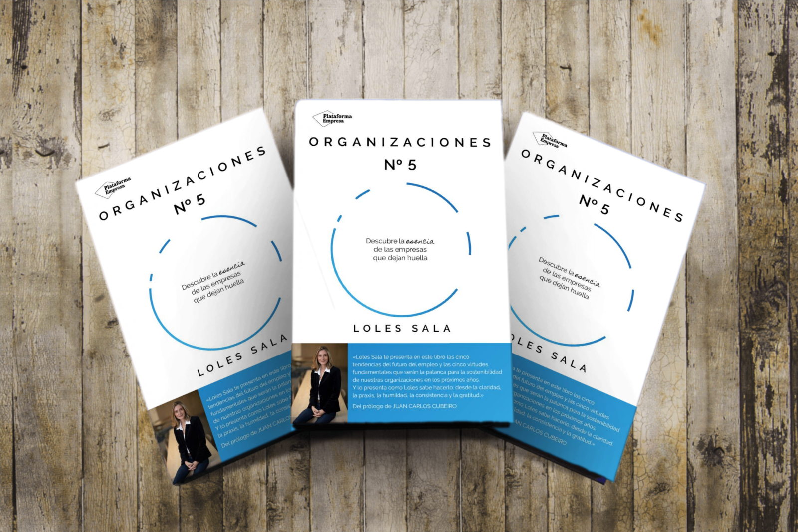 Libro de Loles Sala “ORGANIZACIONES Nº5 – Descubre la esencia de las empresas que dejan huella”